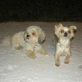 Dempsey en Romi