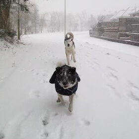 sneeuw storm