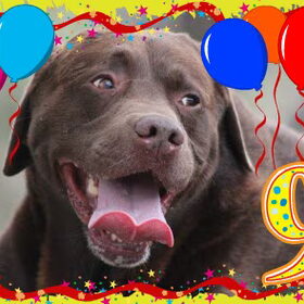 Buddy 9 jaar!