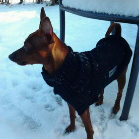 Winter 2011