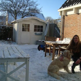 Hondenfoto van Lotte&Guus de Golden*