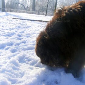 Snuffelen...