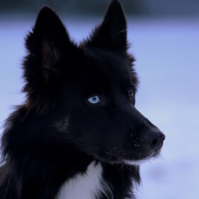 Blue
