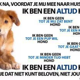 Een hond heb je voor altijd!