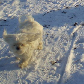 04-02-2012 M,n lief geniet in de sneeuw. Chicka je bent m,n…