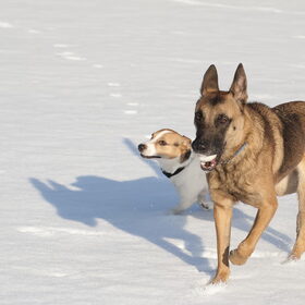 Bikkel en Nina