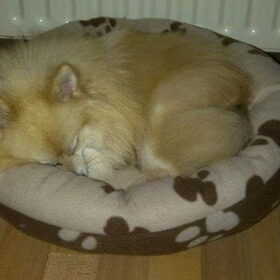 Lieve Cloudy