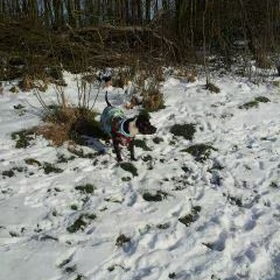 sneeuww