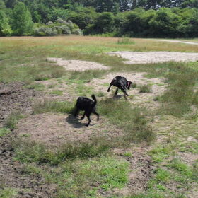In't bos en Joy in haar dolle 5 minuten;)