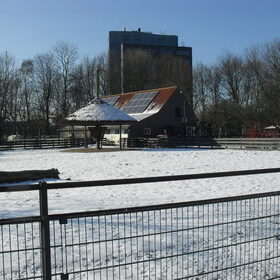 De stadsboerderij Nijkamphoeve in Den Haag. Helaas staat dit…
