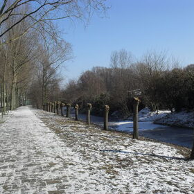 Hondenfoto van Gina Heuvelsland