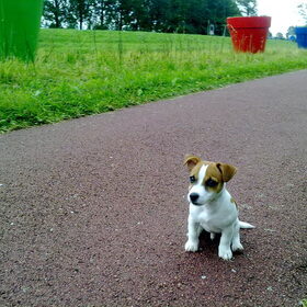 even rust dat was een lange wandeling