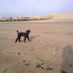 Viktor op z'n favoriete strand