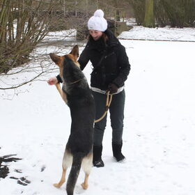 Hondenfoto van Valerie &. Arco
