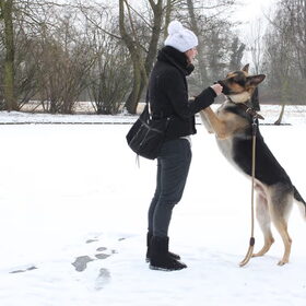 Hondenfoto van Valerie &. Arco