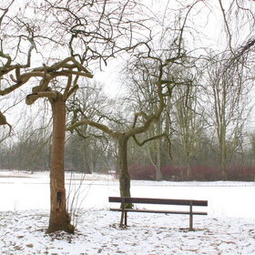 Hondenfoto van Valerie &. Arco