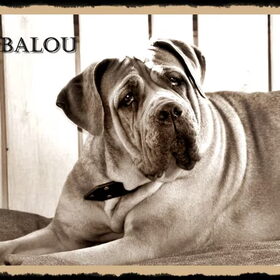 mijn mooie lieve balou.. wat ben ik gek op haar!