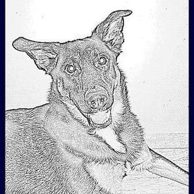 baco