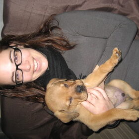 Hondenfoto van Rip diesel, King en hummer