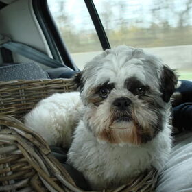 Op weg in de auto naar de Ardennen!!!