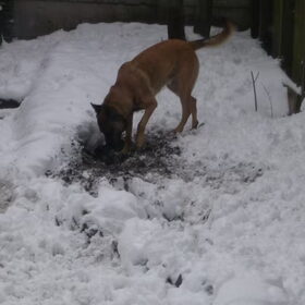 heerlijk die sneeuw