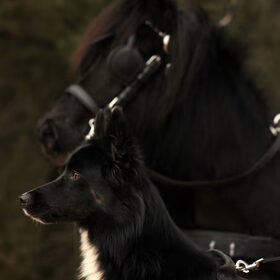 Blue en Toos