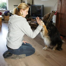 High five
