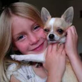 Hondenfoto van Shar, Hummer & Harley