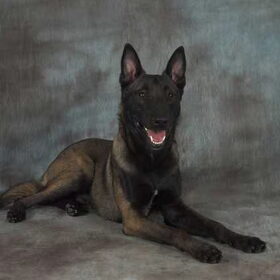 Axel