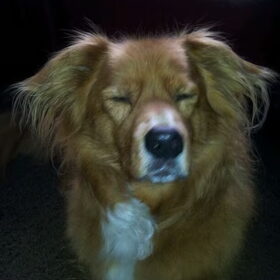 Vervelende flits!