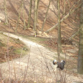 Ver weg