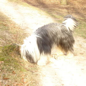 ..en snuffelen.