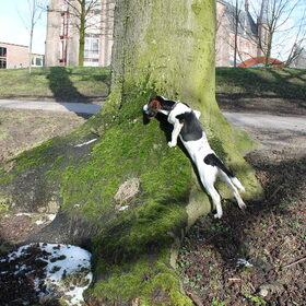 snoepje zoeken
