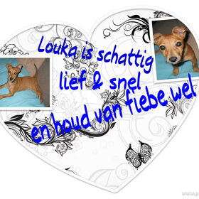 voor fiebe