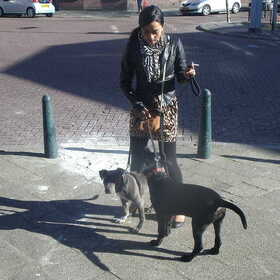 me and my doggies