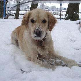 Lieve Kyra in de sneeuw hihi :)