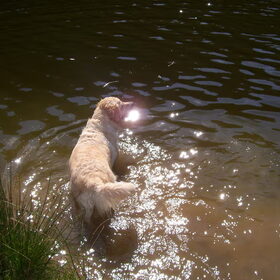 Oooh YES!!! Water .... love it