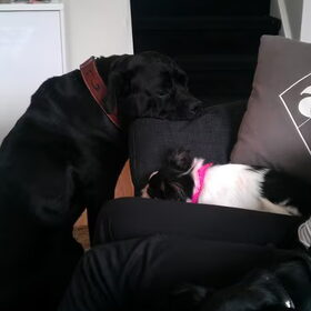Neef en nichtjes ;-)