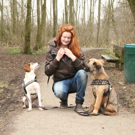 Hondenfoto van team Shadow