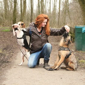 Hondenfoto van team Shadow