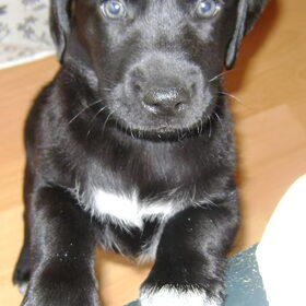 My princess (L)