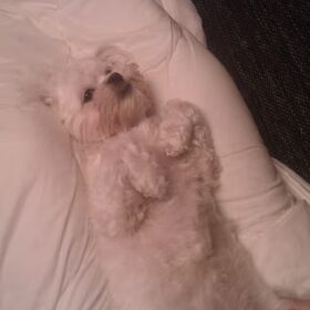 lekker chillen