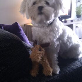 Bo met knuffeltje