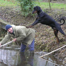 Baasje "helpen" met het schoonmaken van de vijver