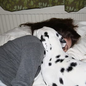 Hondenfoto van Shawna & Nala