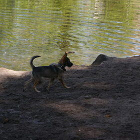 Josje april 2011