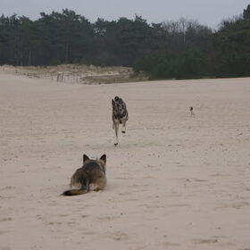 Jos en Zara maart 2012