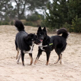 Blue & Tobi