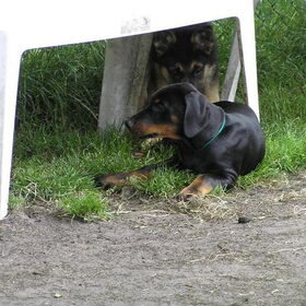 Even uitrusten in de schaduw,toch wel warm al dat gestoei met…