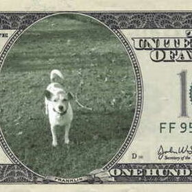 max in geld